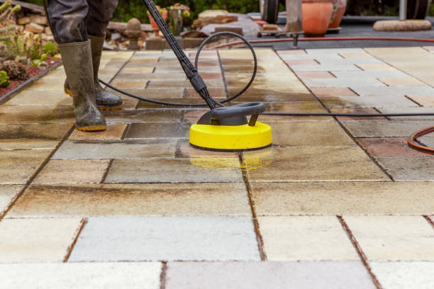 Best Animal Enclosure Cleaning  in Atlanta, GA